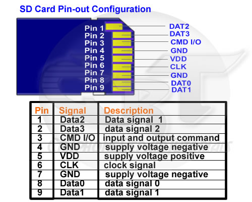 SD card pinout.jpg