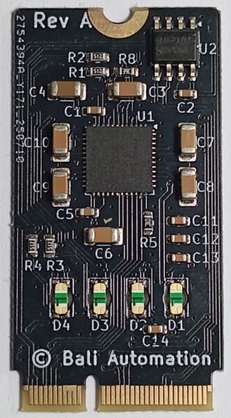 File:Colibri dio1-photo-back.jpg